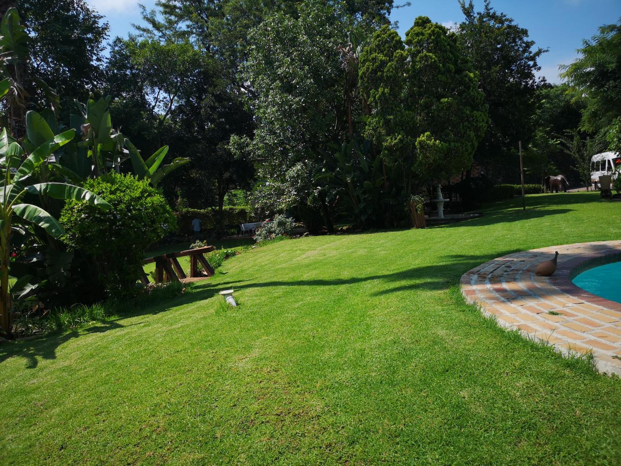 Lotus Guest House Johannesburg Ngoại thất bức ảnh