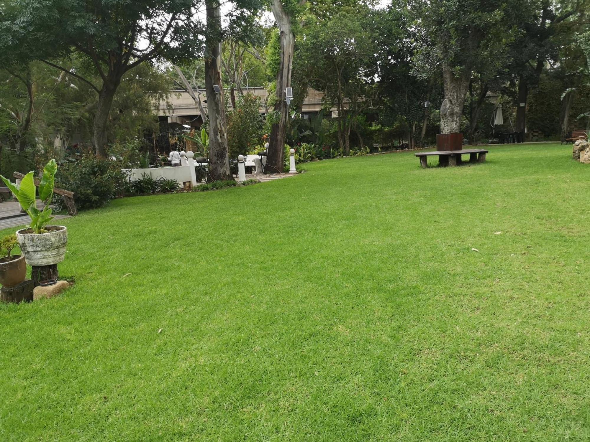 Lotus Guest House Johannesburg Ngoại thất bức ảnh