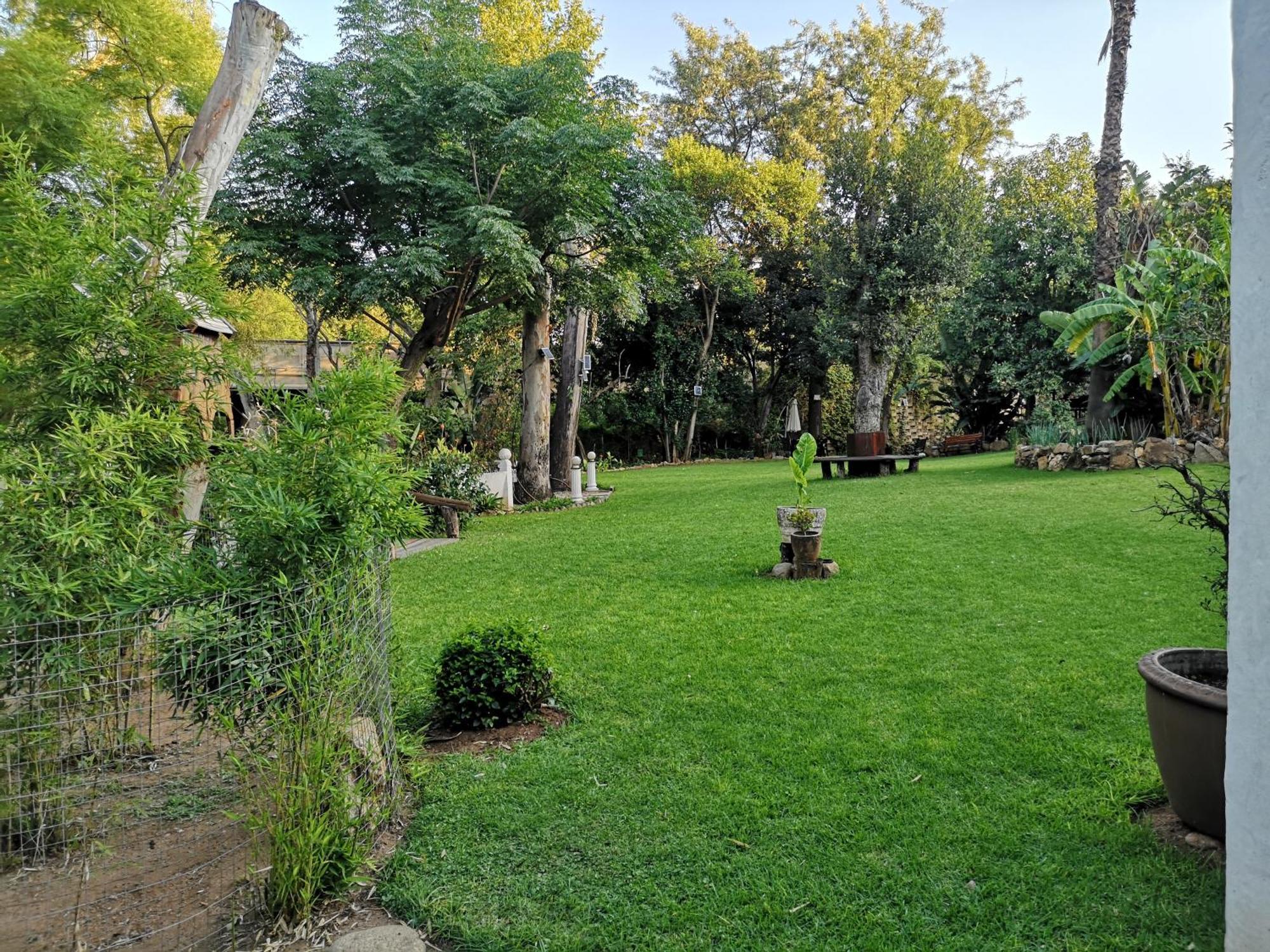 Lotus Guest House Johannesburg Ngoại thất bức ảnh