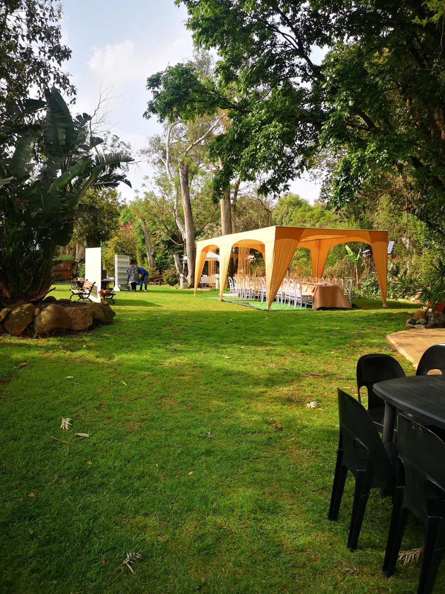 Lotus Guest House Johannesburg Ngoại thất bức ảnh