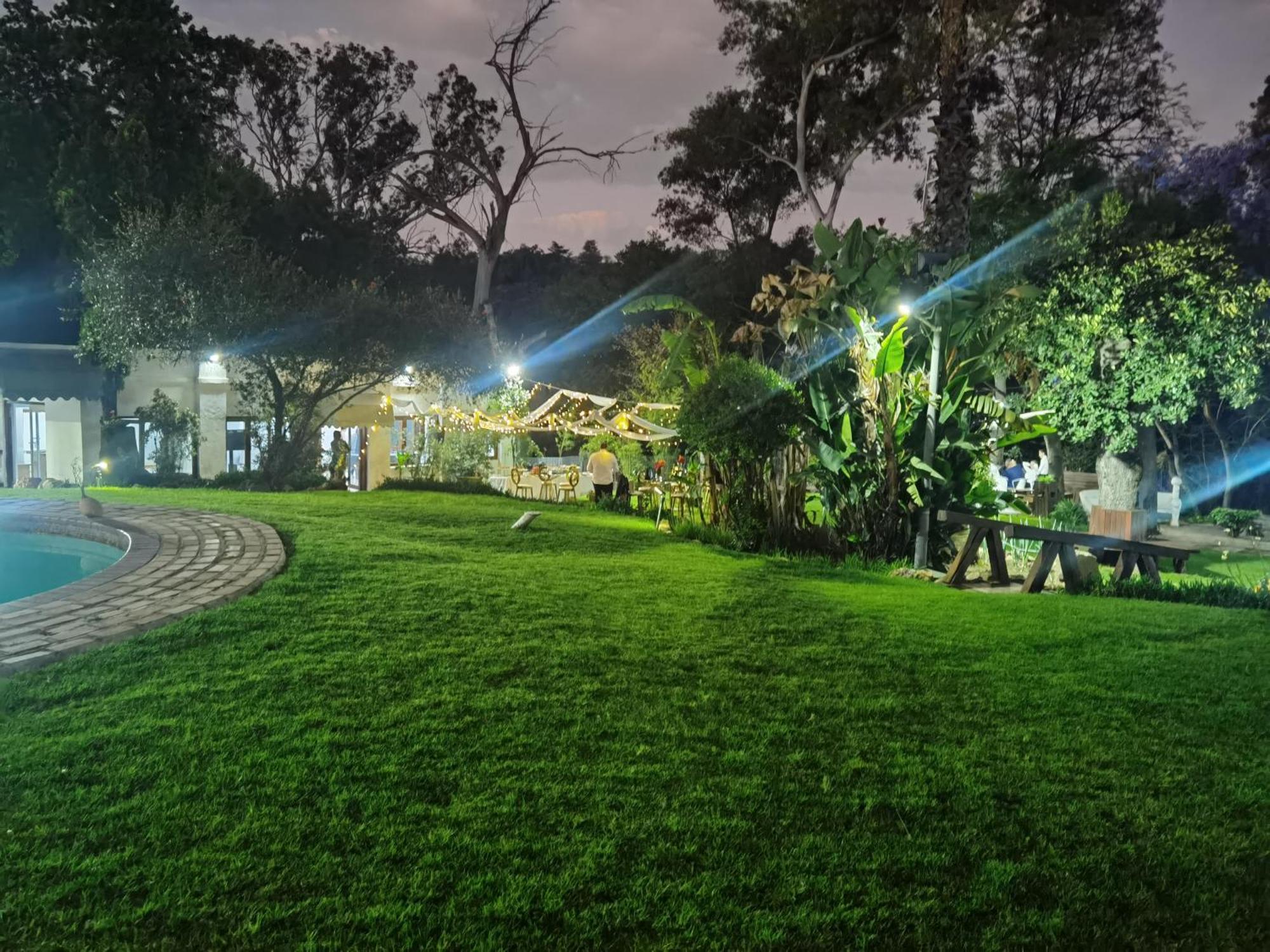 Lotus Guest House Johannesburg Ngoại thất bức ảnh