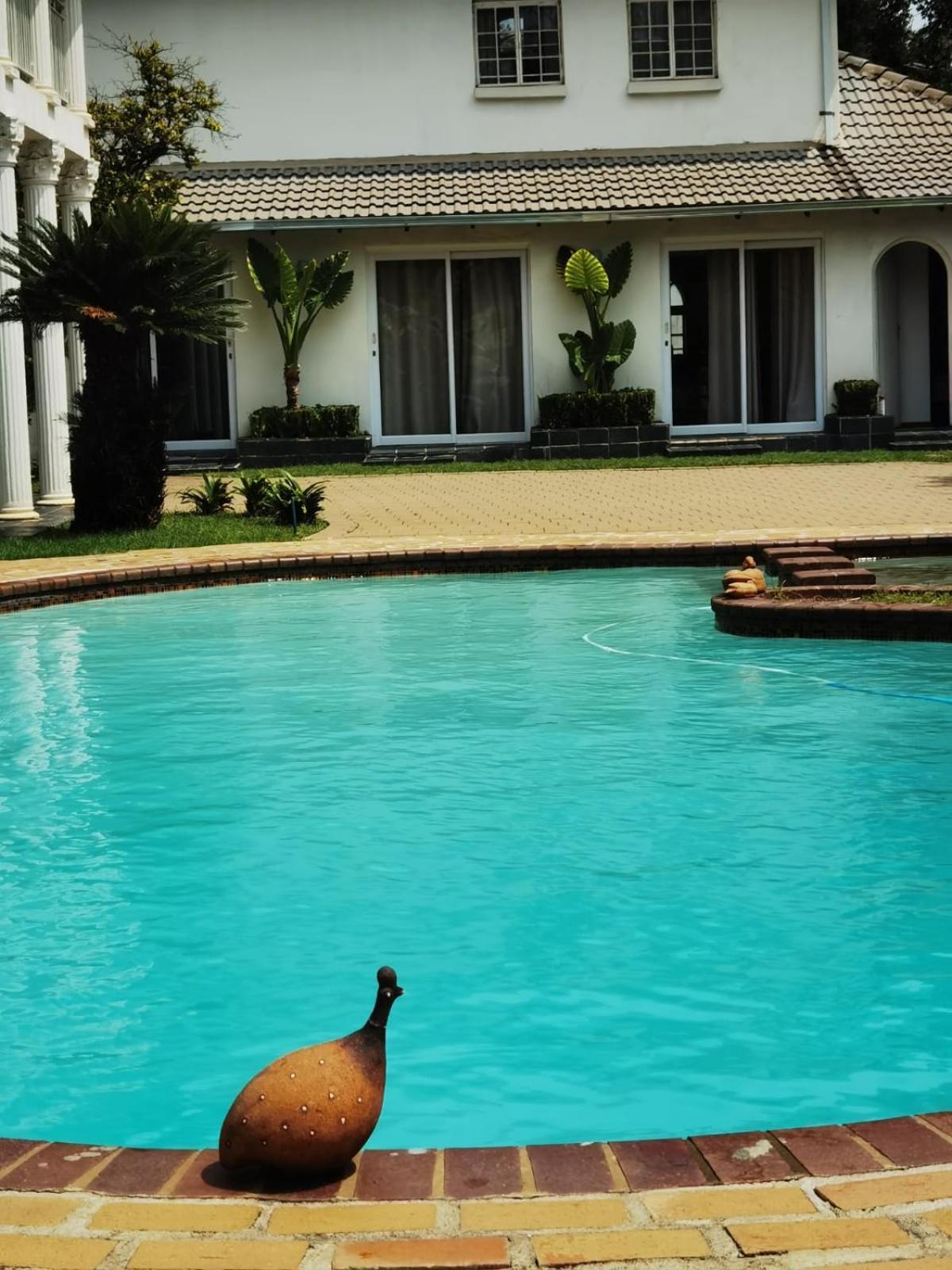 Lotus Guest House Johannesburg Ngoại thất bức ảnh