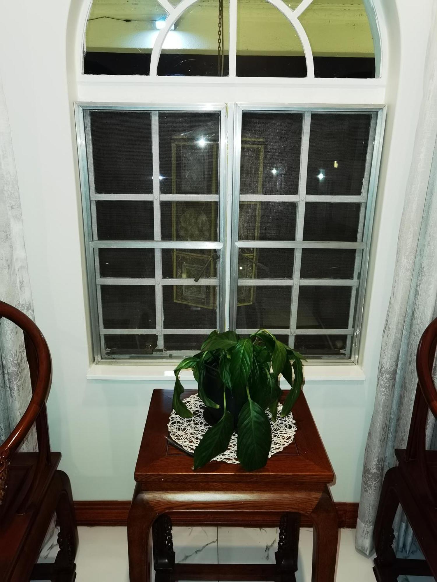 Lotus Guest House Johannesburg Ngoại thất bức ảnh